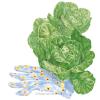 Lettuce Romaine Little Gem Org