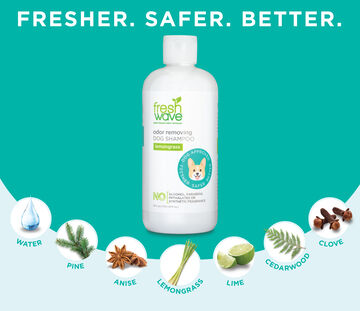 16OZ Fresh Wave Dog Shampoo