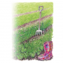 Cover Crop SoilBuildrPea/Oat