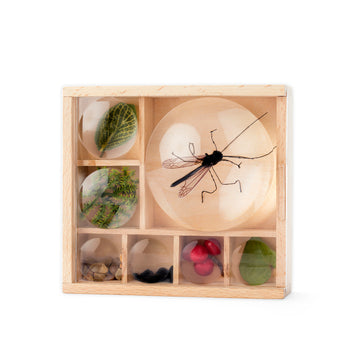 Hb bug box